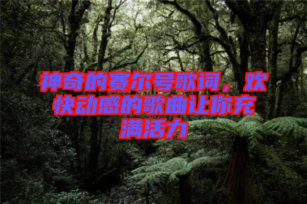 神奇的賽爾號(hào)歌詞，歡快動(dòng)感的歌曲讓你充滿活力