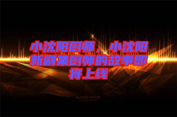 小沈陽廚師，小沈陽新劇集廚師的故事即將上線