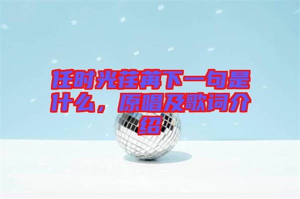 任時(shí)光荏苒下一句是什么，原唱及歌詞介紹