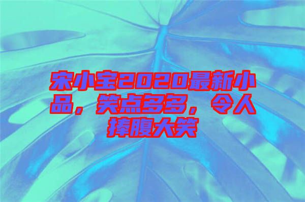 宋小寶2020最新小品，笑點多多，令人捧腹大笑