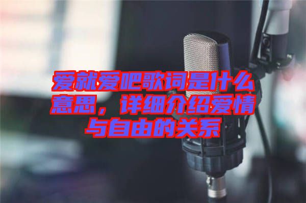 愛就愛吧歌詞是什么意思，詳細介紹愛情與自由的關(guān)系