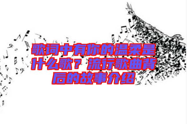 歌詞中有你的溫柔是什么歌？流行歌曲背后的故事介紹