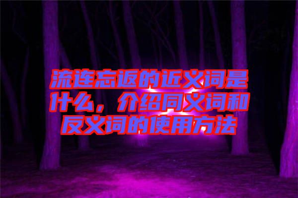 流連忘返的近義詞是什么，介紹同義詞和反義詞的使用方法