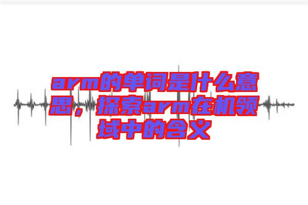 arm的單詞是什么意思，探索arm在機領(lǐng)域中的含義