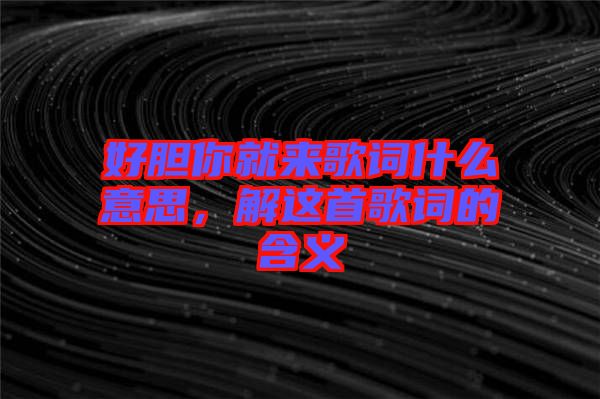 好膽你就來歌詞什么意思，解這首歌詞的含義