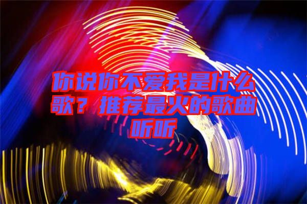 你說你不愛我是什么歌？推薦最火的歌曲聽聽