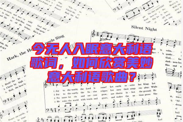 今無人入眠意大利語歌詞，如何欣賞美妙意大利語歌曲？