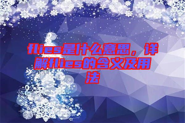 flies是什么意思，詳解flies的含義及用法