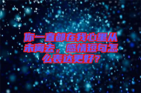 你一直都在我心里從未離去，感情短句怎么表達更好？