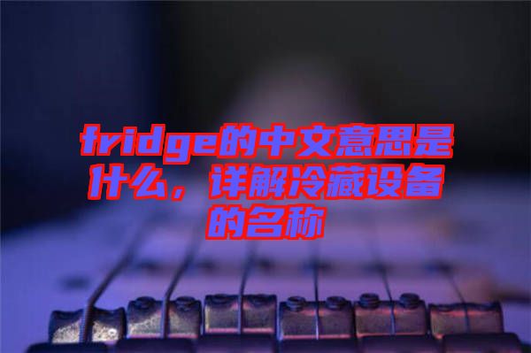 fridge的中文意思是什么，詳解冷藏設(shè)備的名稱