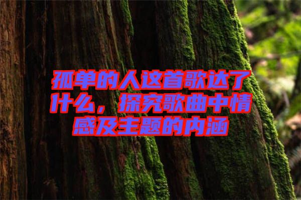 孤單的人這首歌達了什么，探究歌曲中情感及主題的內(nèi)涵