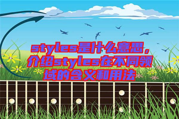 styles是什么意思，介紹styles在不同領(lǐng)域的含義和用法