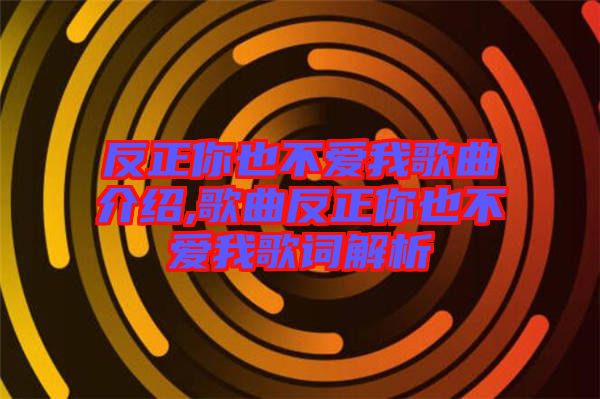 反正你也不愛(ài)我歌曲介紹,歌曲反正你也不愛(ài)我歌詞解析