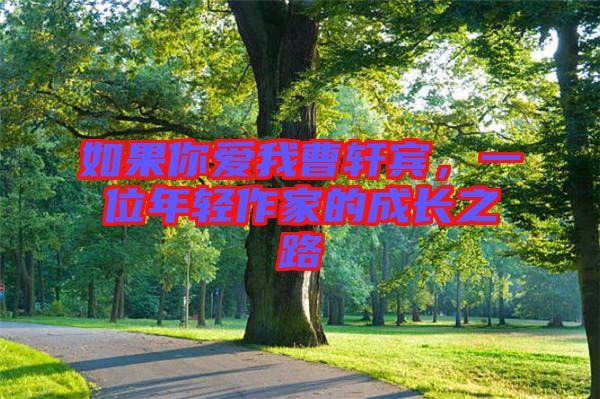 如果你愛我曹軒賓，一位年輕作家的成長之路