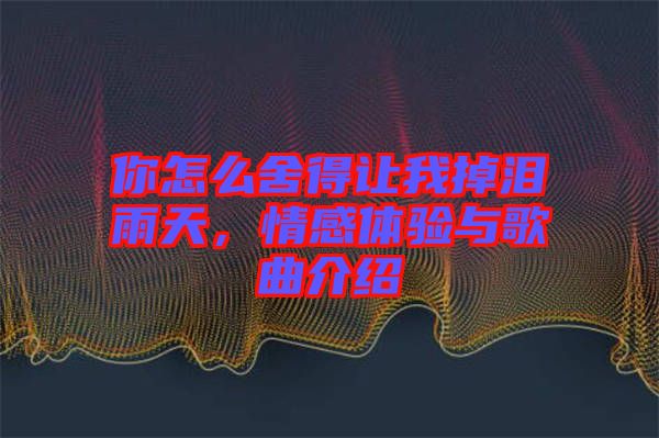 你怎么舍得讓我掉淚雨天，情感體驗(yàn)與歌曲介紹