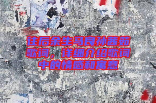 往后余生馬良孫茜茹歌詞，詳細(xì)介紹歌詞中的情感和寓意