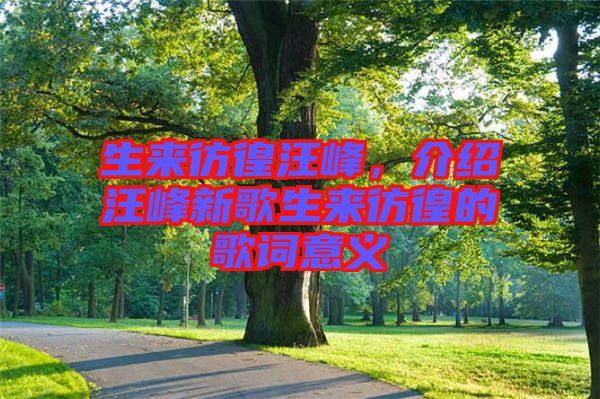 生來彷徨汪峰，介紹汪峰新歌生來彷徨的歌詞意義