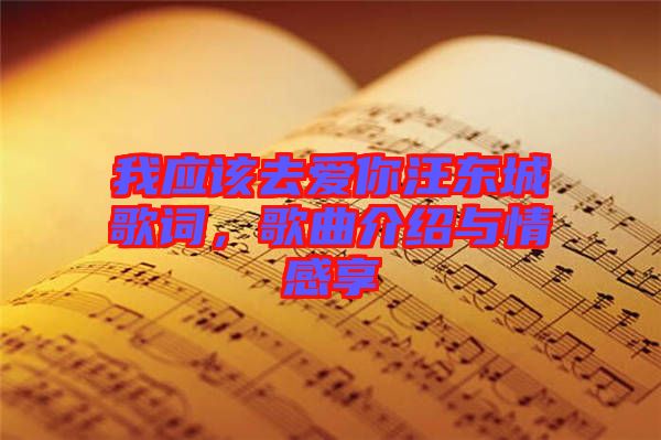 我應(yīng)該去愛你汪東城歌詞，歌曲介紹與情感享