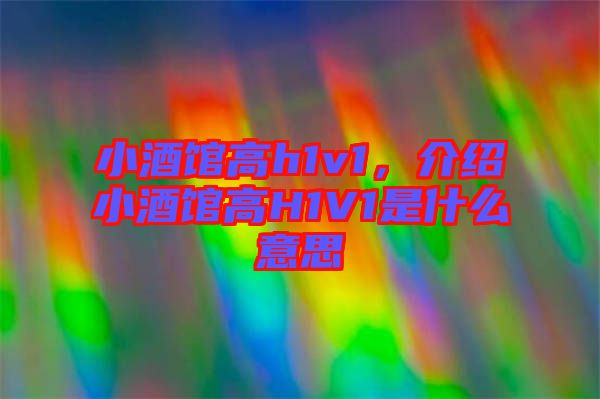 小酒館高h(yuǎn)1v1，介紹小酒館高H1V1是什么意思