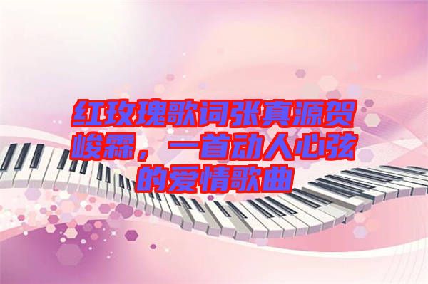 紅玫瑰歌詞張真源賀峻霖，一首動人心弦的愛情歌曲