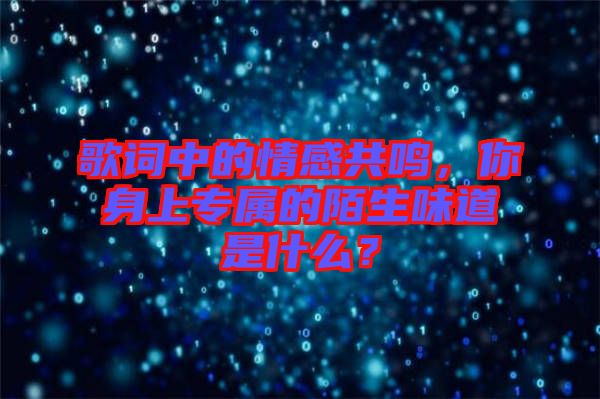 歌詞中的情感共鳴，你身上專屬的陌生味道是什么？