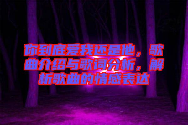 你到底愛我還是他，歌曲介紹與歌詞分析，解析歌曲的情感表達