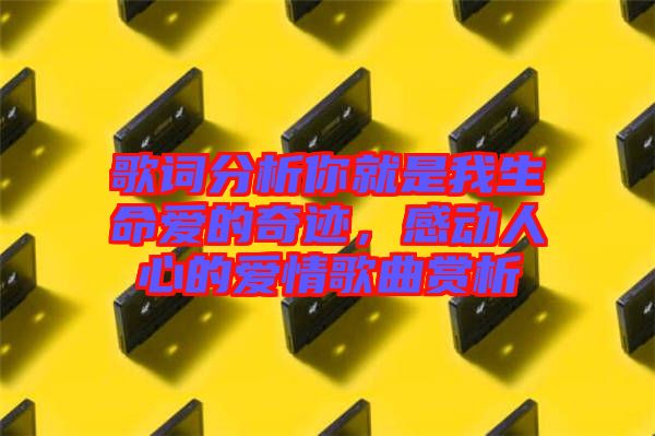 歌詞分析你就是我生命愛的奇跡，感動人心的愛情歌曲賞析