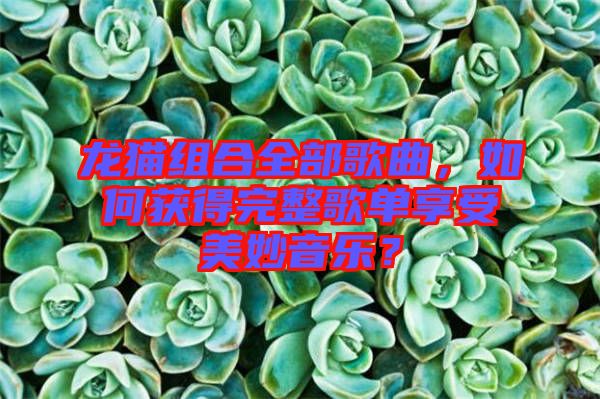 龍貓組合全部歌曲，如何獲得完整歌單享受美妙音樂？