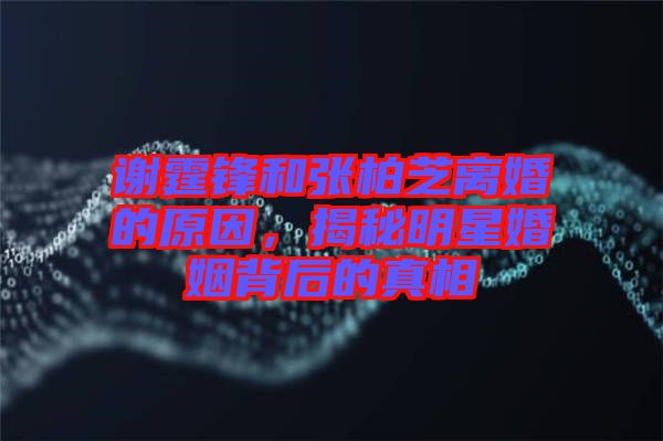 謝霆鋒和張柏芝離婚的原因，揭秘明星婚姻背后的真相