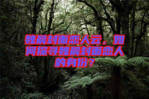 魏晨封面戀人云，如何探尋魏晨封面戀人的身份？