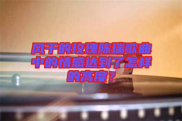 風(fēng)干的玫瑰陳瑞歌曲中的情感達到了怎樣的高度？