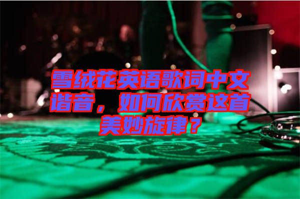 雪絨花英語歌詞中文諧音，如何欣賞這首美妙旋律？