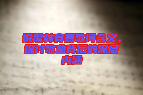 說謊林宥嘉歌詞含義，探討歌曲背后的深層內涵