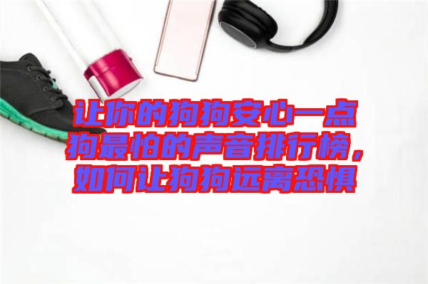 讓你的狗狗安心一點狗最怕的聲音排行榜，如何讓狗狗遠離恐懼