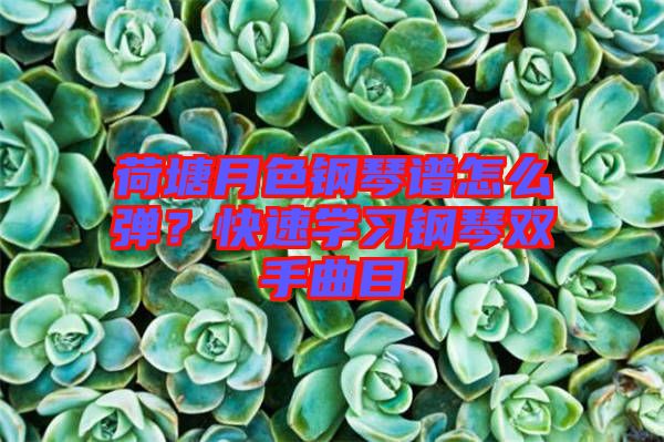 荷塘月色鋼琴譜怎么彈？快速學(xué)習(xí)鋼琴雙手曲目